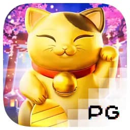 timwilsondentistry: Lucky Neko